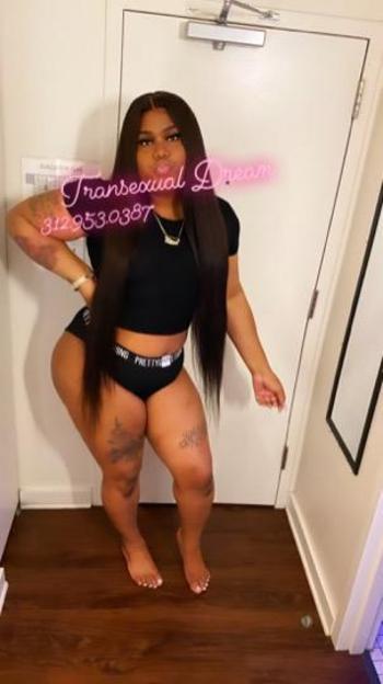3129530387, transgender escort, Chicago