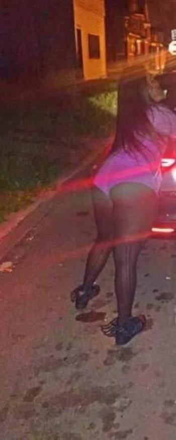 7732700179, transgender escort, Chicago