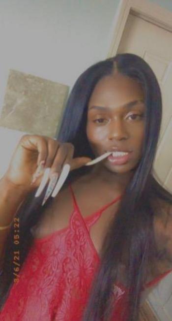 5862381667, transgender escort, Chicago