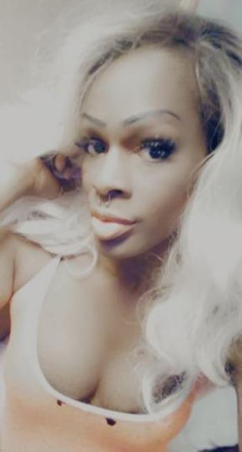 3124599584, transgender escort, Chicago