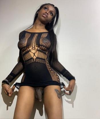 8722566873, transgender escort, Chicago