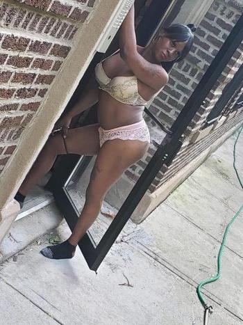 3128377083, transgender escort, Chicago