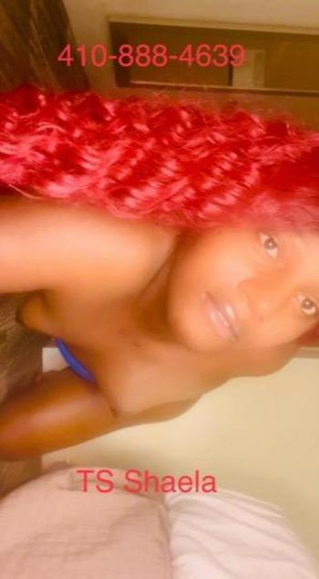 4108884639, transgender escort, Chicago